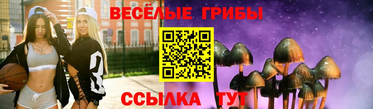 Галлюциногенные грибы Psilocybe  Вход с VPN  Черкесск  Галлюциногенные грибы мухоморы 